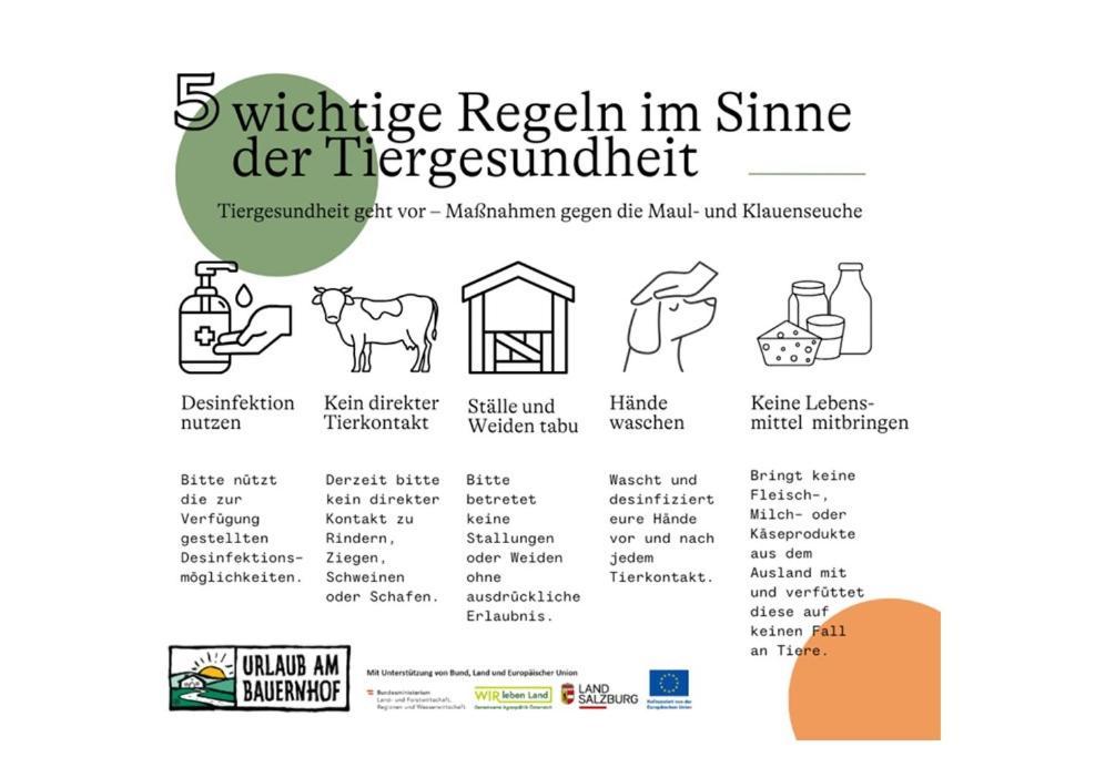 ルンツ・アム・ゼー Familienbauernhof Glockrieglヴィラ エクステリア 写真